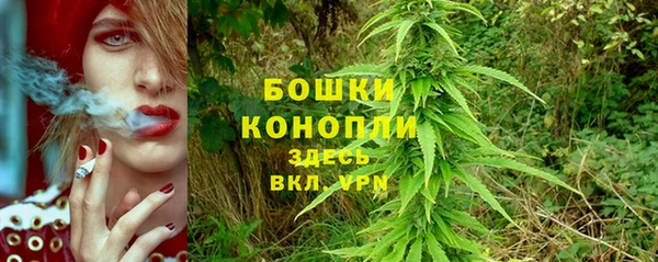 СК Новокубанск