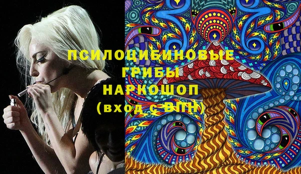 mdpv Няндома