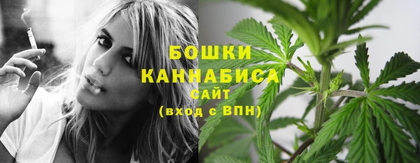 mdpv Няндома