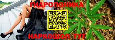 дживик Бийск