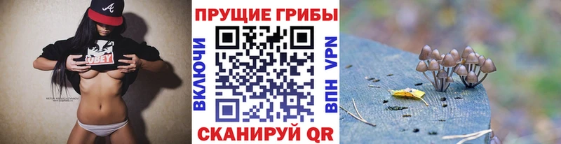 МЕГА как зайти Кондопога Псилоцибиновые грибы ЛСД